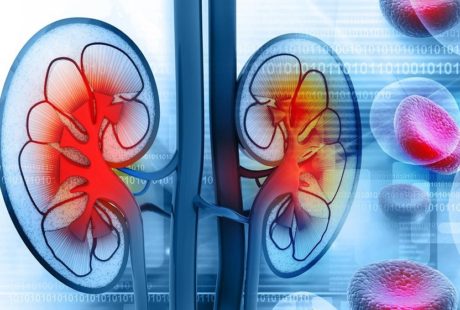 Effects Of Chronic Kidney Diseases On Human Eyes