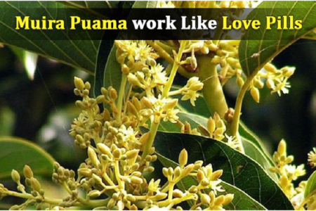 Muira Puama work Like Love Pills