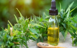 Buy CBD Oil